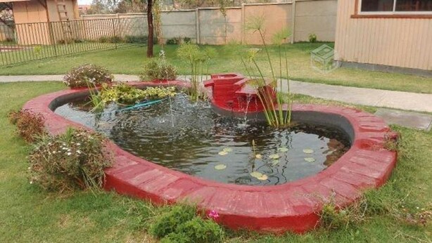 Un estanque con forma de corazón, bordeado de rojo, rodeado de hierba y plantas.