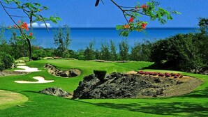 Un campo de golf con vista clara al océano al fondo.