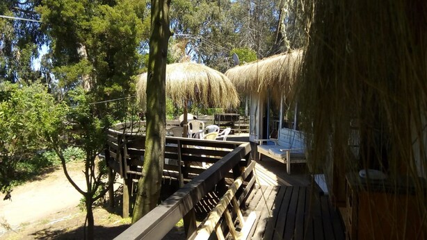 A wooden deck with a thatched roof structure, surrounded by trees and greenery. - 440 Cachagua (Zapallar)
