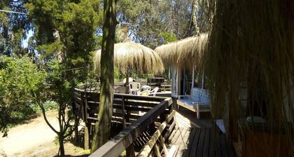440 Cachagua