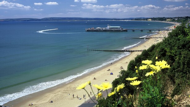 A beach with a pier extending into the sea, a sandy shore, and a clear sky. - The Hedley Townhouse (Bournemouth)