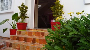 Una entrada de casa con una escalera escalonada de baldosas que conduce a una puerta. Hay plantas en macetas en los escalones.