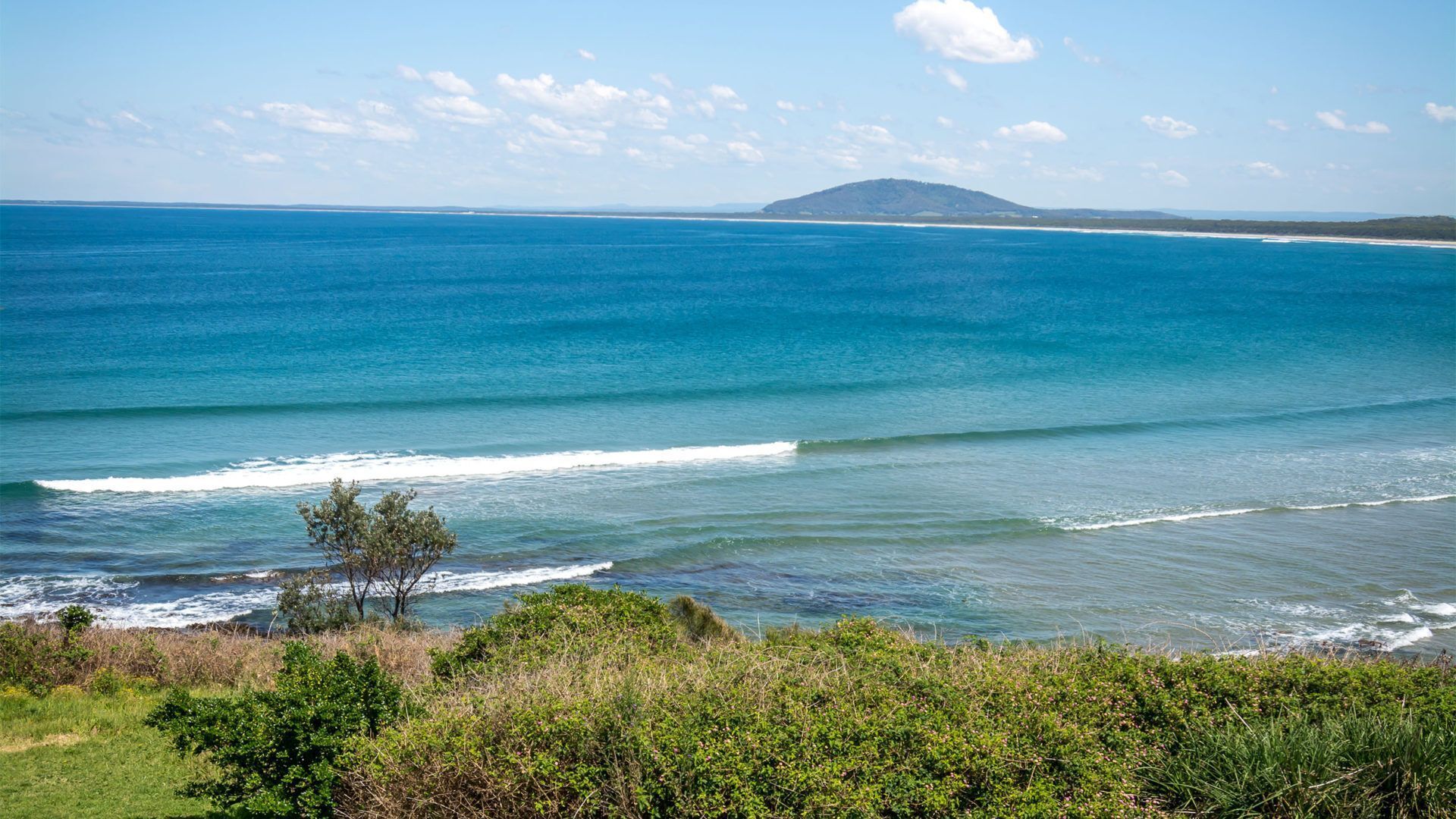 A coastal landscape with a view of the ocean, a distant hill, and dense greenery in the foreground.