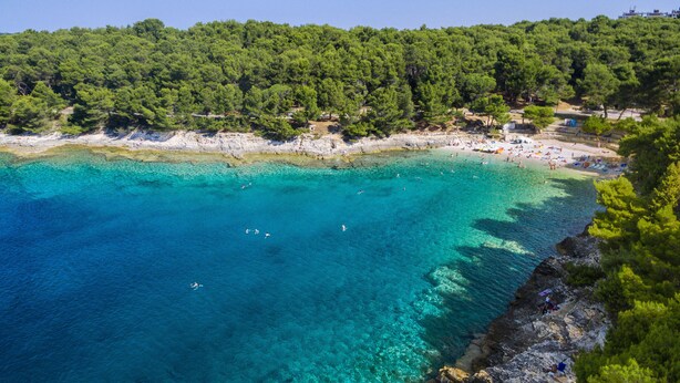 A coastal area with clear turquoise waters, a sandy beach, and a forested hillside.