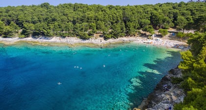 Apartment 3 Cuori - in the middle of the city center and sea