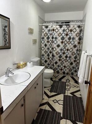 Shower, towels, toilet paper - KINGSTOWN 1 BEDROOM RIGHT IN TOWN! WALKING DISTANCE TO EVERYTHNG VINCY! (Kingstown)