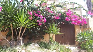 Un jardín con plantas verdes grandes, flores rosas y un muro de piedra.