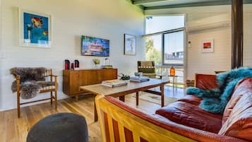 Televisión, chimenea, reproductor de DVD y libros