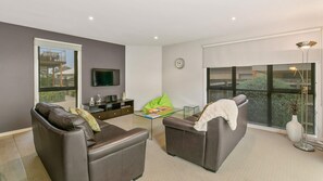 Télévision, lecteur de DVD, livres, vidéothèque