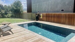 Ein Schwimmbecken mit Holzterrasse, Liegestuhl und einer Topfpflanze.