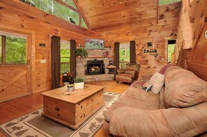 TV, fireplace, DVD player