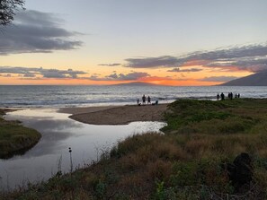 Playa