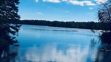 A calm lake with reflections of trees and a clear sky.