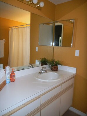 A bathroom with a white sink, a mirror, and a shower curtain. - Look at This, too! Fun in the Sun for Everyone! (Kissimmee)