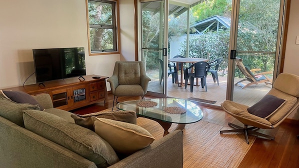 تلفزيون، مشغل دي في دي