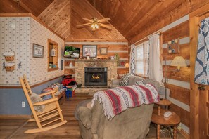 TV, fireplace, DVD player