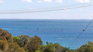 Beach - BEACH BELLE - MORNINGTON (MORNINGTON)