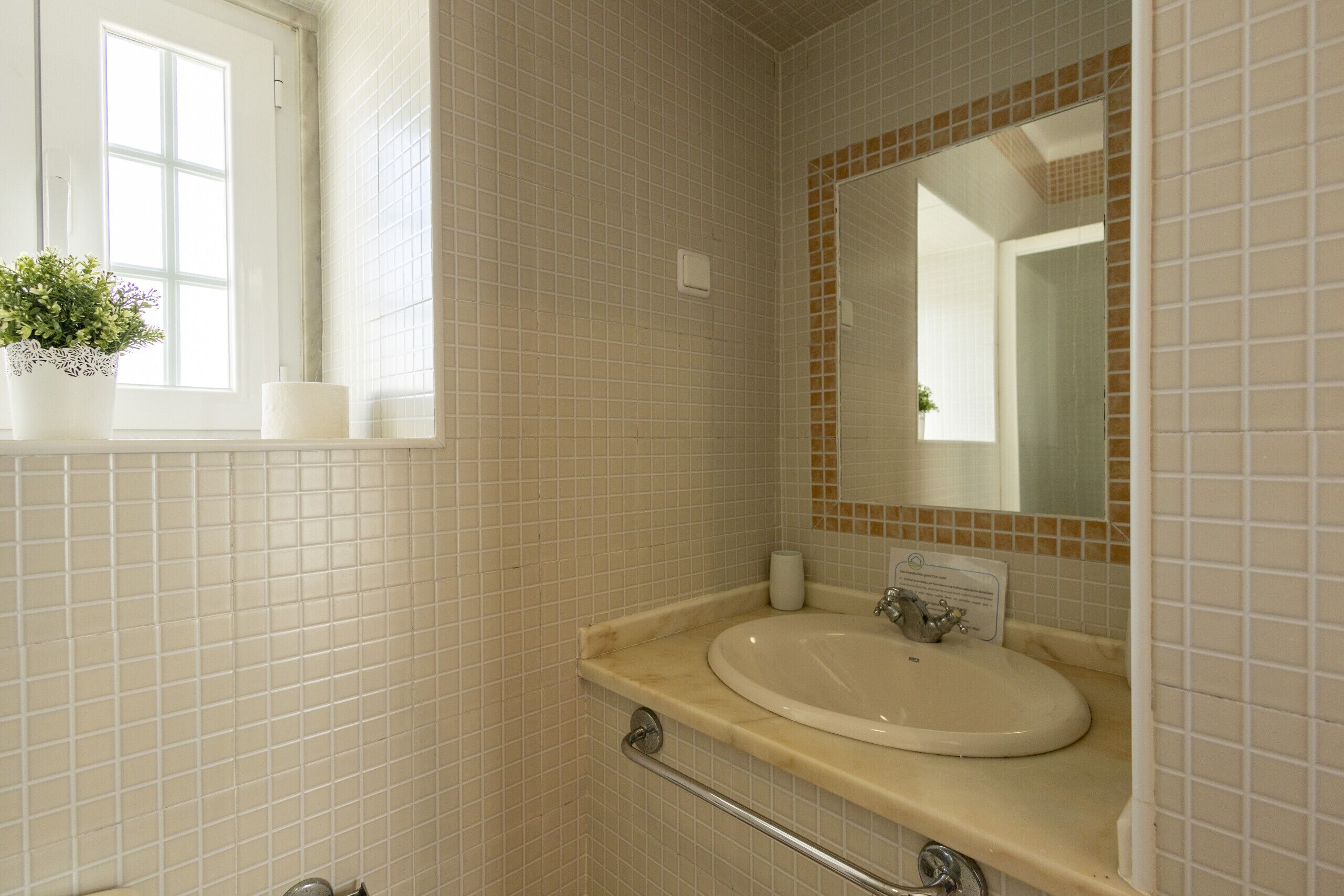 A bathroom with a white tiled wall, a sink with a mirror, a window with a plant, and a handrail.