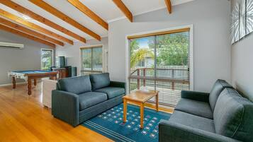 TV, fireplace, DVD player, books