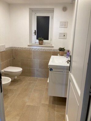 Shower, hair dryer, bidet, soap