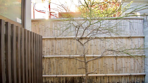 Una cerca de bambú con un pequeño árbol al frente.