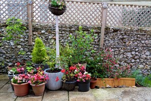 المنطقة المحيطة بالمنشأة