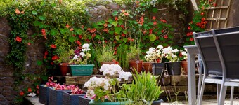 NY - Den rosa døren. Elegant 4-sengs viktoriansk hus med utsikt over havet og nedturene