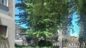 A pathway lined with trees and a building with a gated entrance. - San Raffaele Città Studi Politecnico CIN IT015146C2F3B9XNN (Milano)