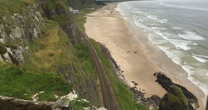 Finn accommodates up to 6 people