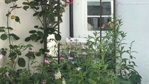A white building with a window and a metal trellis with pink flowers. - Pretty 18th century cottage centrally situated  on Mermaid Street in Rye (Rye)