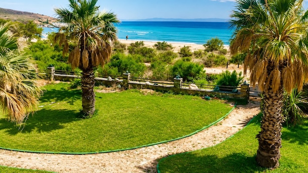 A grassy area with palm trees and a pathway leading to a beach. - ⭐️⭐️⭐️⭐️⭐️AMAZING BEACH HOUSE in TINOS! Literally On the Beach!  (Tinos)