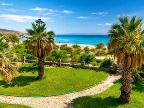 Een gazon met palmbomen en een pad dat naar een strand leidt.