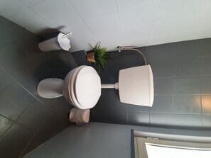 Une salle de bain moderne équipée de toilettes, d’un bidet et d’une douche.