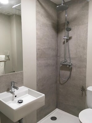 Combined shower/tub, hair dryer, bidet, towels