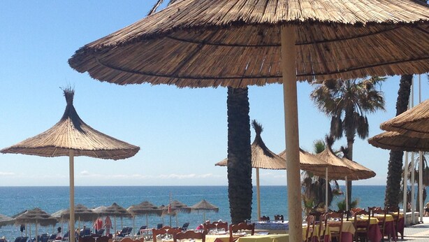 A beachside restaurant with outdoor seating, thatched umbrellas, and palm trees.
