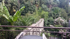 Een balkon met uitzicht op een weelderige tuin, met verschillende tropische planten en een stenen muur.