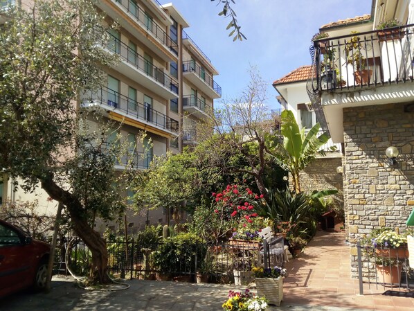 A courtyard with a variety of potted plants and a red car parked on the left.