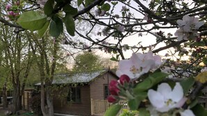 A wooden cabin with a sloped roof, surrounded by a well-maintained lawn and trees. - Cosy dog friendly lodge with Red Squirrels feeding in the garden.outdoor bath (Whitwell)