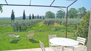 A patio with a round table and four chairs, surrounded by a garden with various plants and trees.