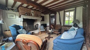 Télévision, cheminée, lecteur de DVD, livres