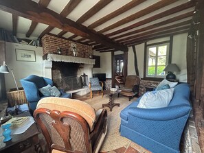 TV, fireplace, DVD player, books