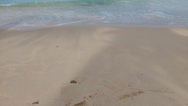 Une plage à l’eau d’un bleu limpide, avec un rivage sablonneux et quelques bateaux visibles au loin.