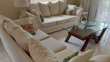 Smart TV, DVD player, books