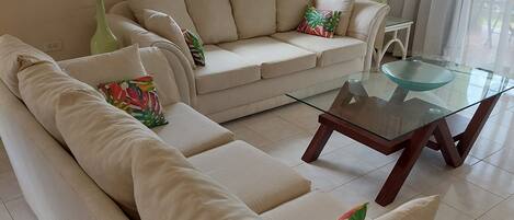 Smart TV, DVD player, books
