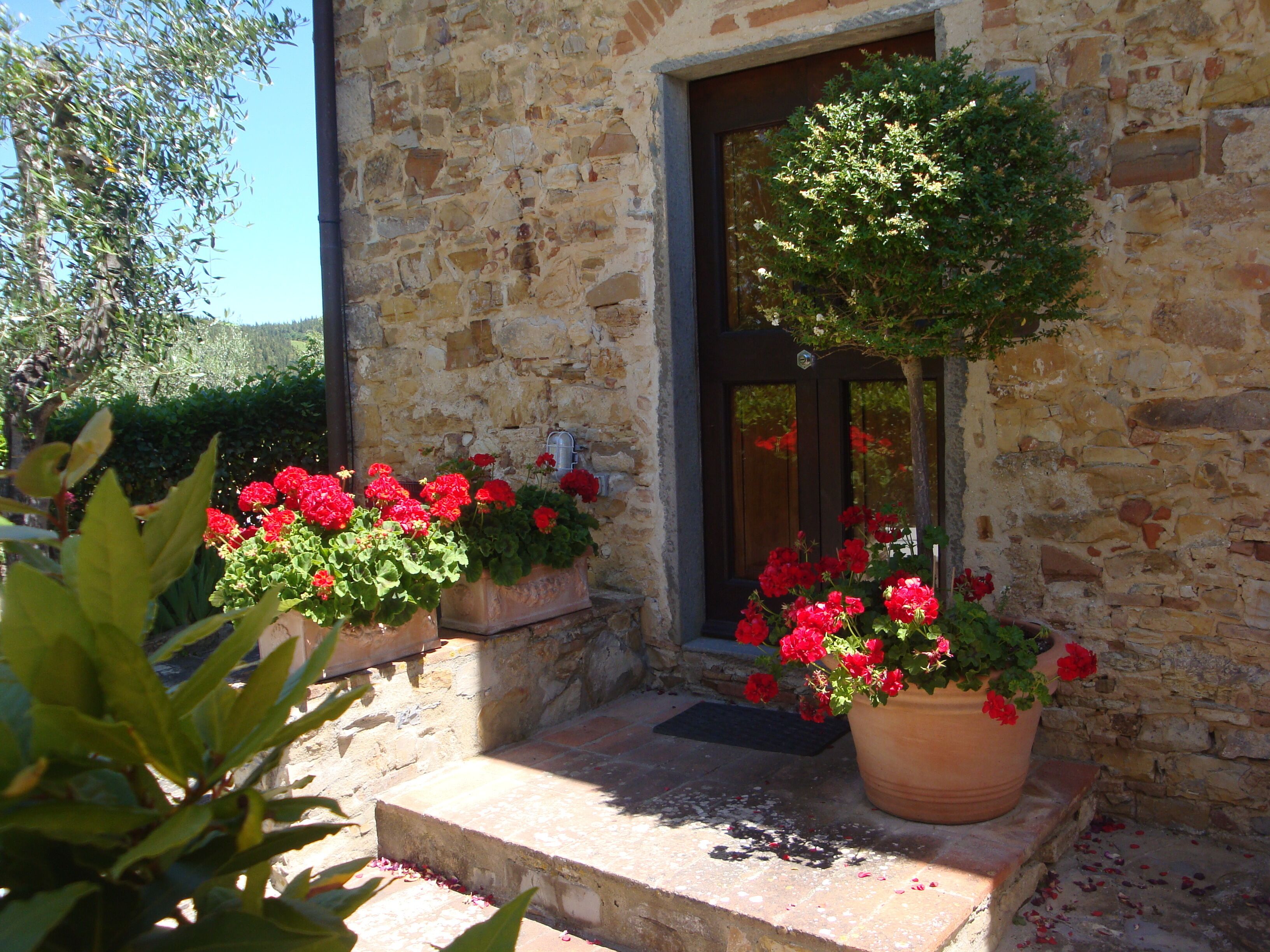 A stone building with a wooden door and steps leading up to it. There are potted plants with red flowers on the steps.