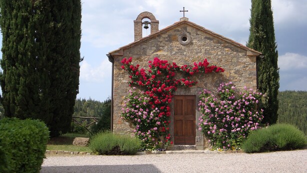 Una iglesia de piedra con un campanario, rodeada de altos cipreses y arbustos florecientes.