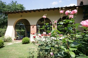 Detalle exterior
