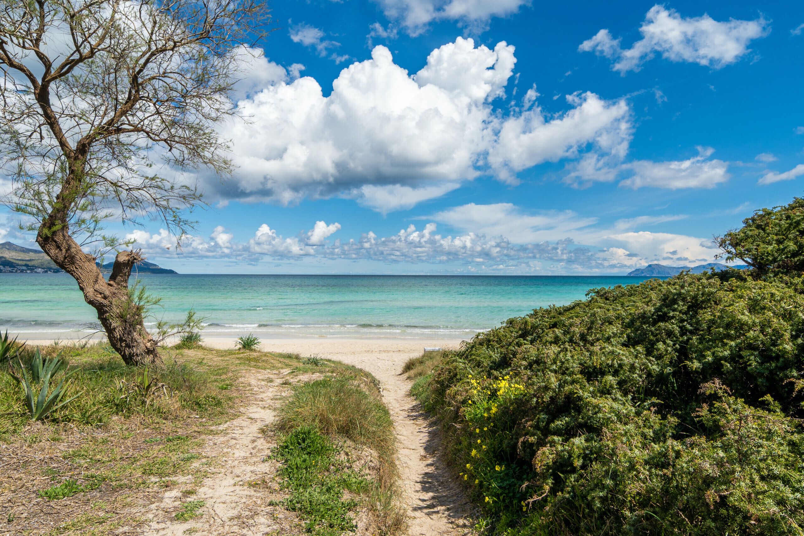 Accommodatie ligt op het strand, ligstoelen, strandlakens