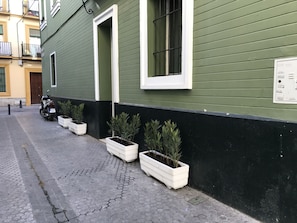 Detalle exterior