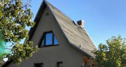 --- Cottage by the lake ---